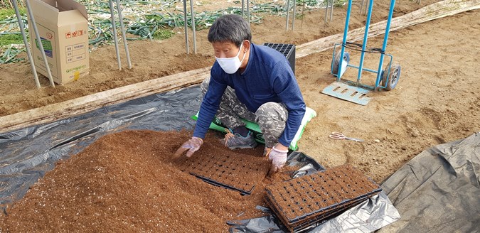 5.고추 이식(移植)작업 사진!